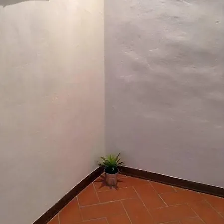 Vellutini Number One Apartment